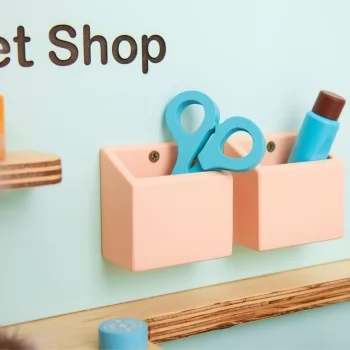 Pet Shop/Veterinário Infantil de Madeira Verde Limão e Salmão 2 em 1 Fabrink